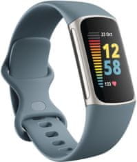 Fitbit Charge 5, Steel Blue/Platinum Stainless Steel
