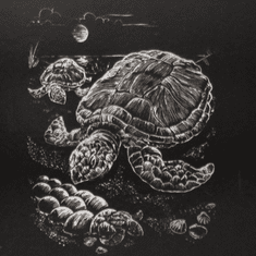 COOLKOUSKY Vyškrabavací obrázek stříbrný A5 želvy