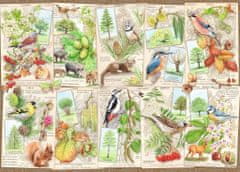 Ravensburger  Puzzle Úžasné stromy 1000 dílků
