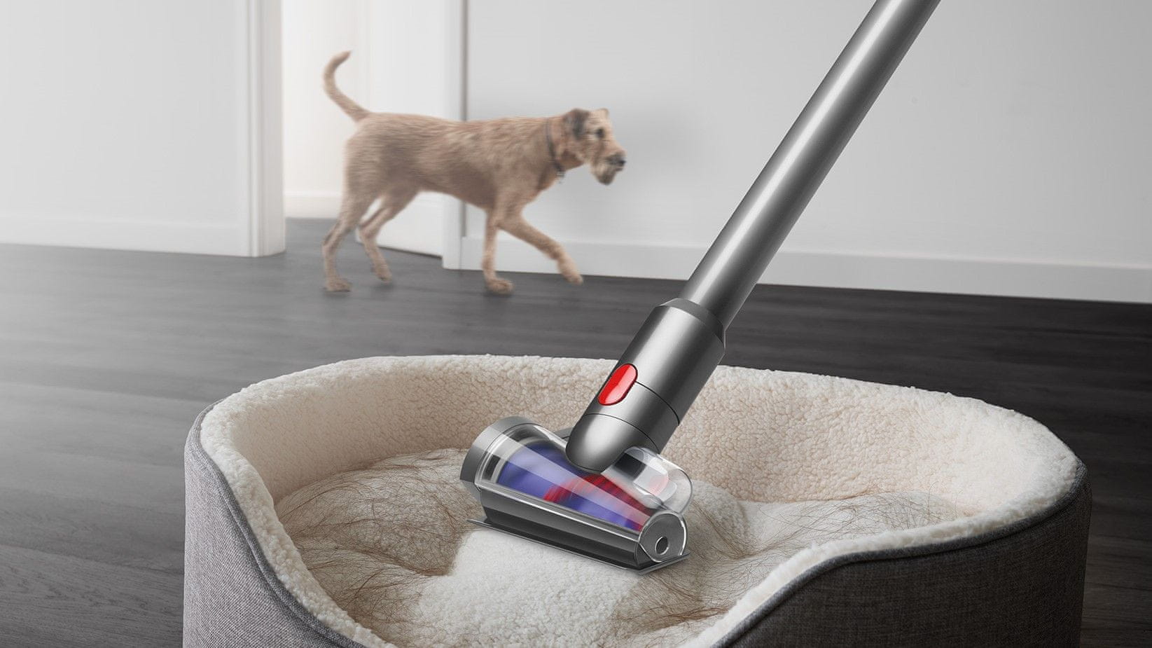  Dyson V15 Detect Absolute Extra 
