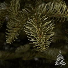 Vánoční stromek Jedle Kavkazská 100 % 180 cm
