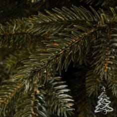 Vánoční stromek Smrk Kanadský 100 % 220 cm