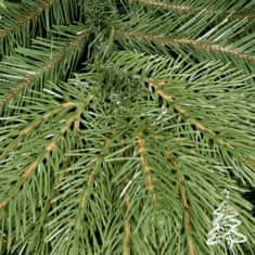 Vánoční stromek Borovice Přírodní 3D 220 cm