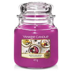 Yankee Candle vonná svíčka Exotic Acai Bowl (Miska exotických chutí) 411g
