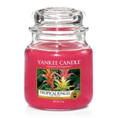 Yankee Candle vonná svíčka Tropical Jungle 411g