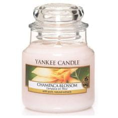 Yankee Candle vonná svíčka Champaca Blossom (Květ magnólie) 104g