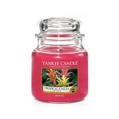 Yankee Candle Aromatická svíčka střední Tropical Jungle 411 g