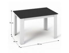 KONDELA Jídelní stůl 120x80, DTD laminovaná / ABS hrany, Bílá / Černá, KRAZ