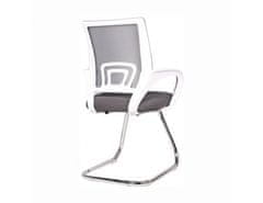KONDELA Zasedací židle šedá/bílá, Sanaz TYP 3
