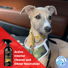 Autosol Active Interior Cleaner and Odour Neutralizer - aktivní čistič interiéru auta a odstraňovač zápachu