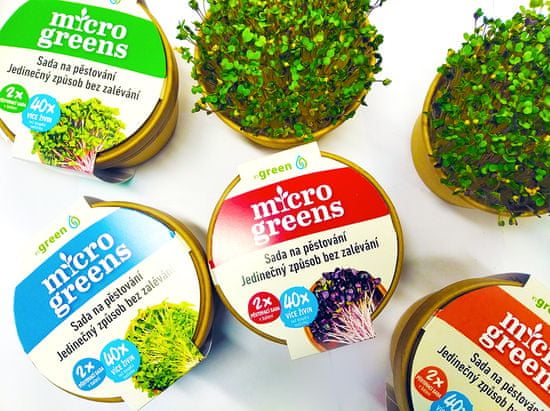 commshop Microgreens - kouzelná zahrádka, mikro bylinky - hořčice
