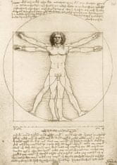 Puzzle Leonardo Da Vinci - The Vitruvian Man, 1490 1000 dílků