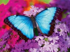 MasterPieces Puzzle Modrý motýl