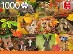 Jumbo Puzzle Zvířátka podzimu