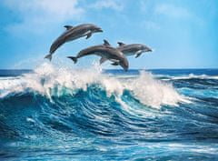 Clementoni Puzzle Tři delfíni