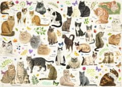Jumbo Puzzle Plakát s kočkami