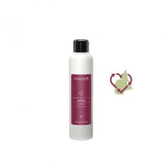 Vitality´s  Stylingový spray pro finální úpravu Volume Volume Up (Hairspray) 250 ml 