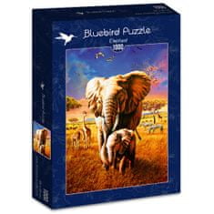 Blue Bird Puzzle Elephant 1000 dílků