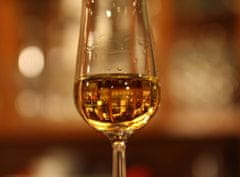 Allegria degustace skotské sladové whisky