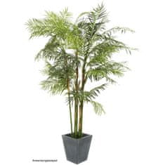 Europalms Cykasová palma, 280 cm