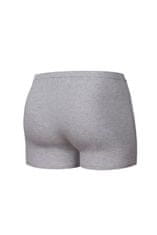 Cornette Pánské boxerky 223 Authentic mini grey + Ponožky Gatta Calzino Strech, šedá, M