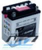 Baterie (akumulátor motocyklový) YB3L-A (12V-3Ah) B-YB3LA