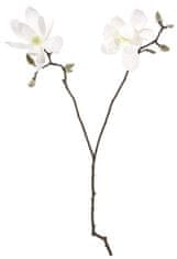Shishi Magnolie bílá s dvěma květy, 74 cm