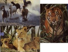 Puzzle Koně, tygr, lvi