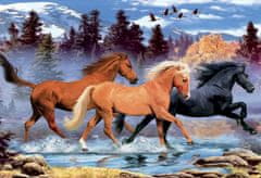 Puzzle Běžící koně