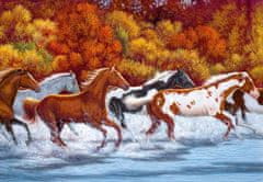 Puzzle Běžící koně