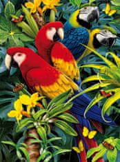 Puzzle Magičtí papoušci - PUZZLE s 3D efektem