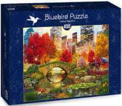 Blue Bird Puzzle Central Park