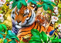 Blue Bird Puzzle Tygři v džungli