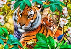 Blue Bird Puzzle Tygři v džungli - DĚTSKÉ PUZZLE