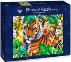 Blue Bird Puzzle Tygři v džungli - DĚTSKÉ PUZZLE