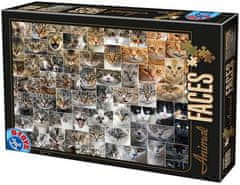 Puzzle Koláž - kočky