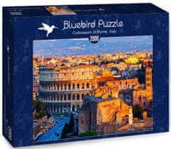 Blue Bird Puzzle Koloseum