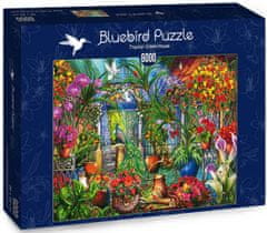 Blue Bird Puzzle Tropický skleník