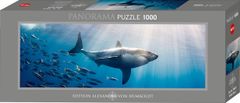 Puzzle Bílý žralok - PANORAMATICKÉ PUZZLE
