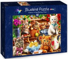 Blue Bird Puzzle Kočičky - DĚTSKÉ PUZZLE
