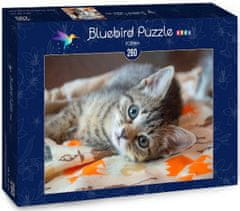 Blue Bird Puzzle Kočička - DĚTSKÉ PUZZLE