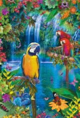Educa Puzzle Země tropických papoušků