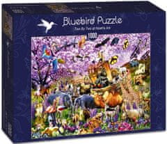 Blue Bird Puzzle Dva od každého