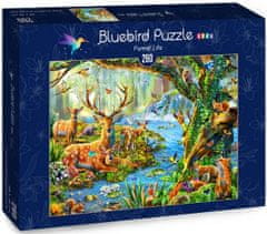 Blue Bird Puzzle Život v lese - DĚTSKÉ PUZZLE