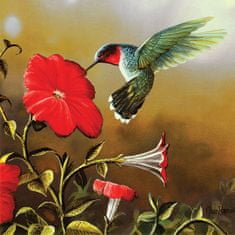 SunsOut Puzzle Kolibřík s červeným květem - XXL