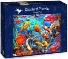 Blue Bird Puzzle Tropické ryby