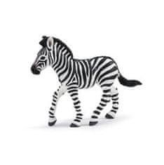Safari Ltd. Safari Zebra - mládě