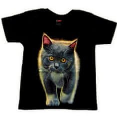 Motohadry.com Dětské tričko s kočkou TDKR 008, 6-8 let