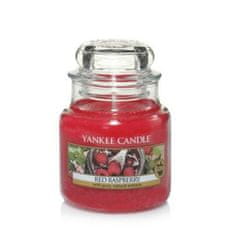 Yankee Candle RED RASPBERRY Malá svíčka 104 g