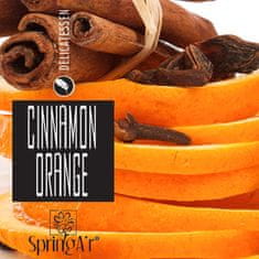 SpringAir náplň do osvěžovače, Orange & Cinnamon